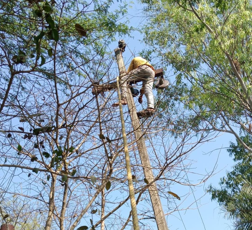 15 poles fell due to storm and rain, electricity was cut off in many areas