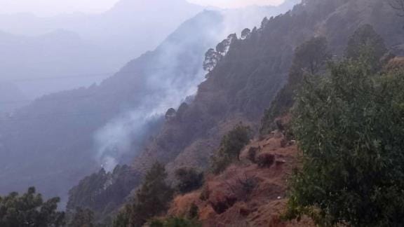 Fire blazed in the forest of Satgarh, damage to forest wealth