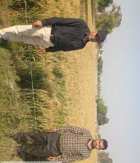 Inform about crop damage due to hailstorm on toll free number 14447