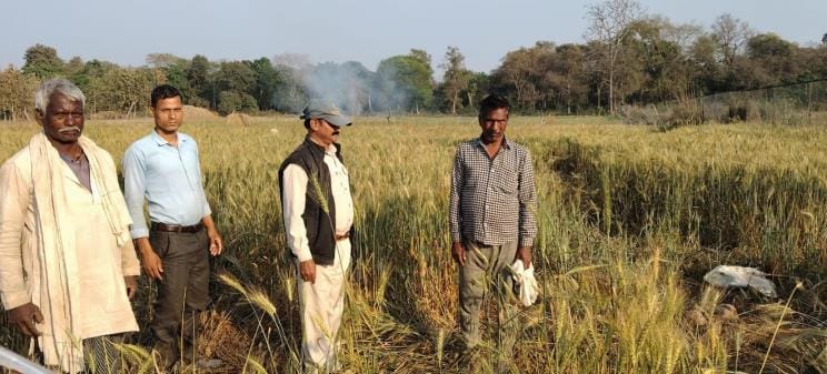 A herd of elephants destroyed crops and chased away farmers
