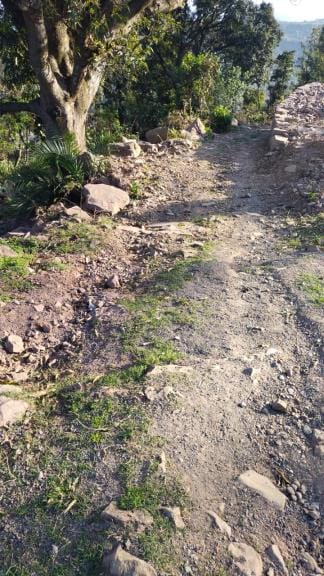 The road was not paved, people are angry