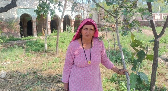 Old Sharda dedicated her life to trees and plants