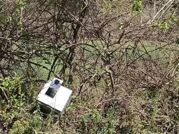 Donation box stolen from Shiva temple, thrown in bushes