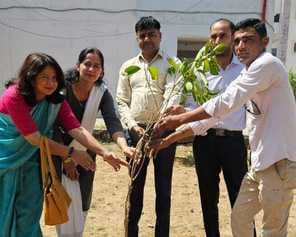 Students were given information on fire safety and trees were planted