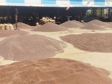 Farmers flocked to the market with mustard, 7000 quintals were purchased