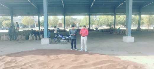 870 quintals of mustard purchased in Ateli Mandi, a farmer reached Nangal Chaudhary