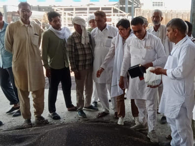 57 farmers sold 800 quintals of mustard to Hafed