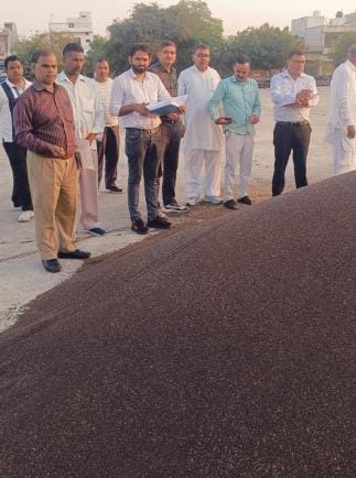 Mustard purchase account opened in Bhiwani Mandi