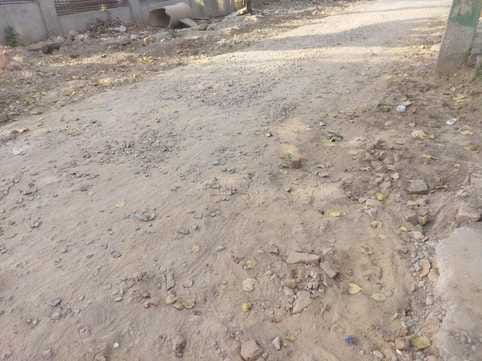 Take action against illegal Dhabas built on the side of the highway: DC