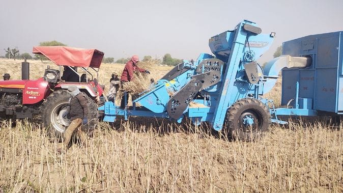 Back-to-back machines have become the first choice of farmers, mustard bread is being produced rapidly