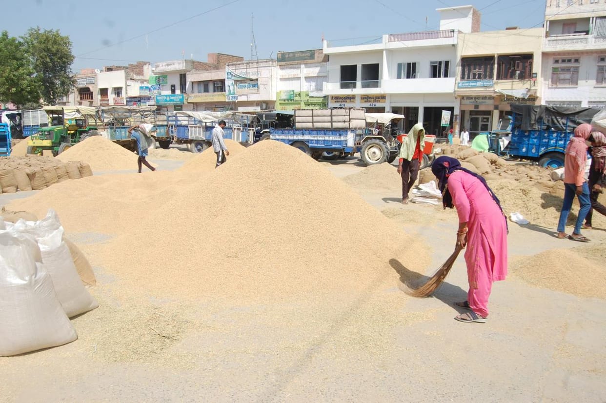 After the third change in the policy, 82 agencies came to lift wheat
