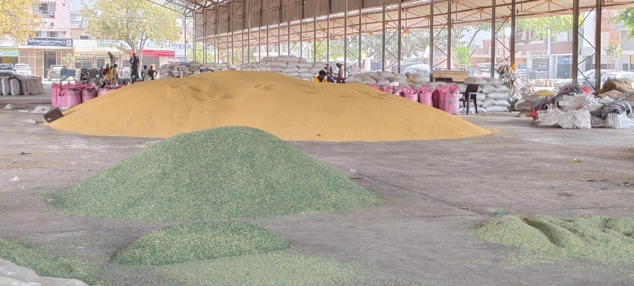 There is a delay in the new tender, the contract for lifting wheat and mustard will be closed in 6 days