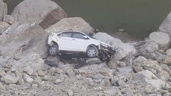 Car fell into Beas while saving stray animals