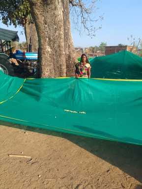 पेड़ के चारों ओर नेट बांधती महिला