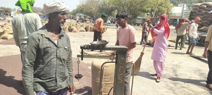 1162 quintals of mustard was purchased across the district, payment will start from tomorrow