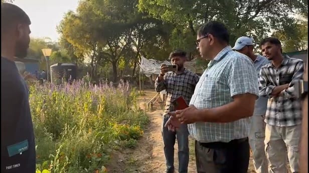 There was a stir when plants of a special species were found in Supwa.