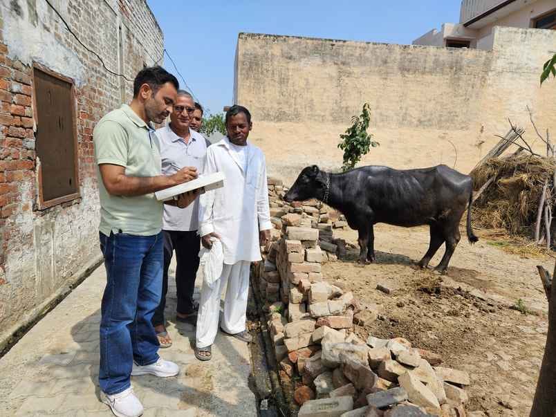21st animal census work is complete, population decreased by more than 10500 compared to last census