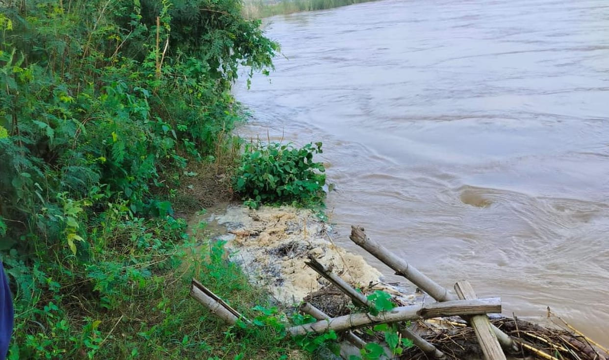 Fishes are being hunted in the Nigomati river by adding bleaching powder