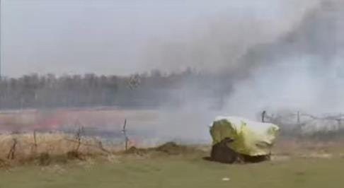Spark from transformer reduced two bighas of wheat crop to ashes