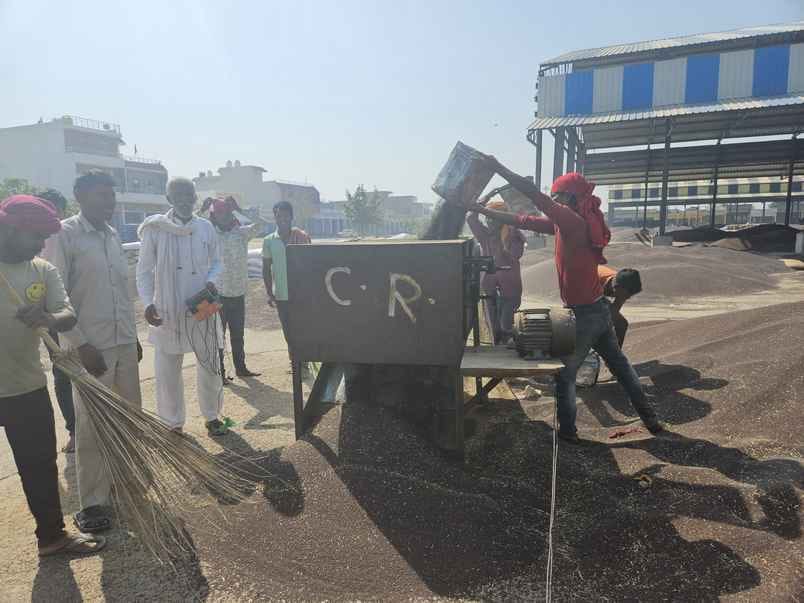 419 thousand 700 quintals were purchased in Kosli Mandi