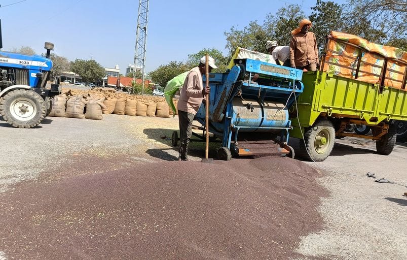 Brokers are buying mustard at cheap price and selling it at MSP
