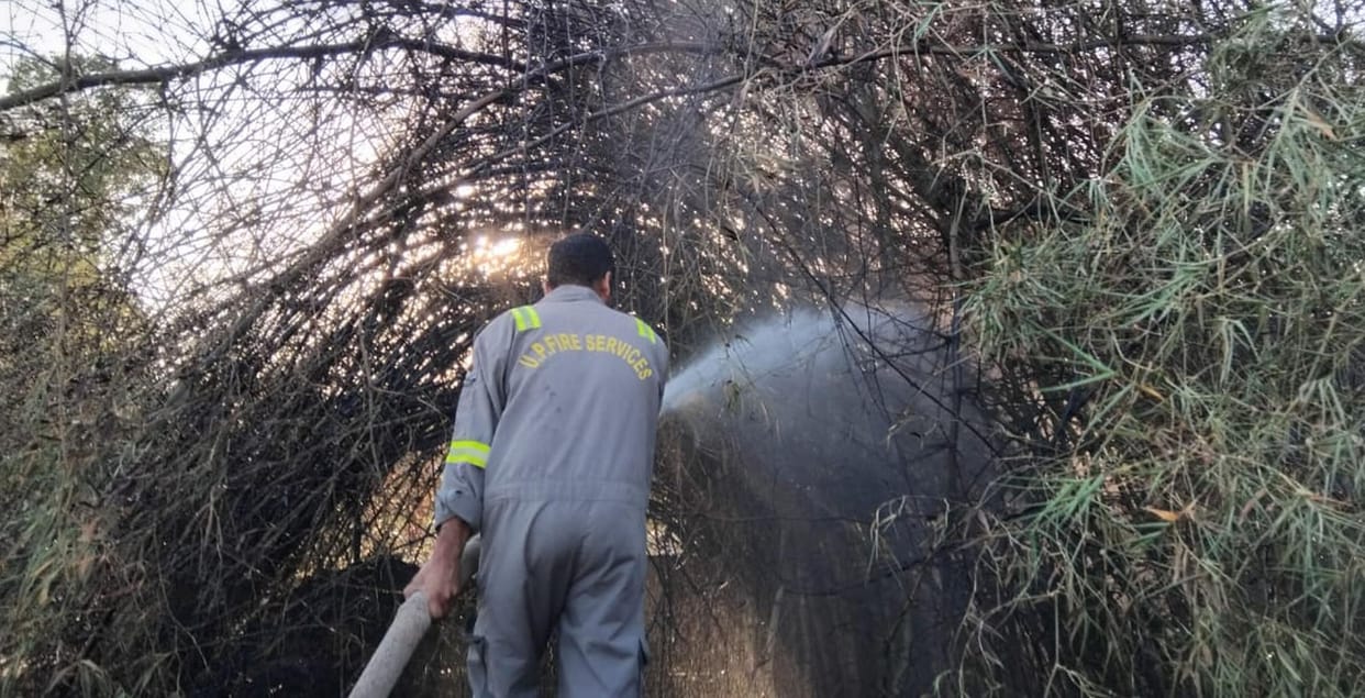 Wheat field and bamboo shed caught fire due to short circuit