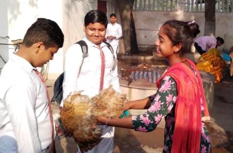 Worshipped Mother Sheetla and prayed for the safety of children