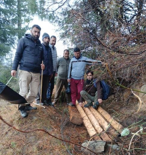 Forest Department Taken Action