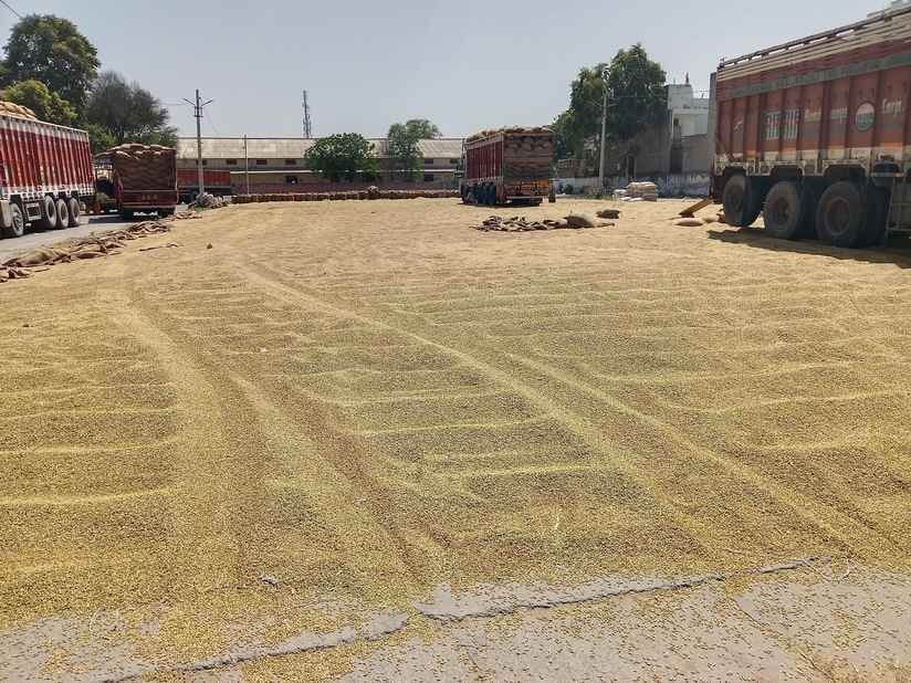 There is no government purchase of barley crop in the district, farmers are getting more price than MSP