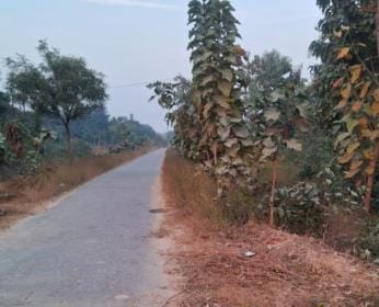 11.5 km long bypass approved, 19.72 crore released