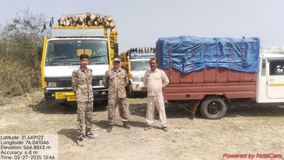 Three seized including two vehicles carrying banned species of wood