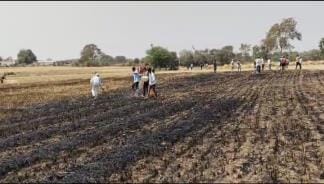 One and a half acres of wheat crop caught fire