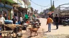 Sidhi News Chief Minister Mohan Yadav order ineffective meat sale continues in open administration helpless