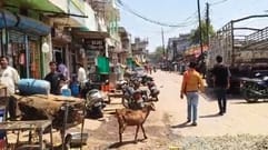 Sidhi News Chief Minister Mohan Yadav order ineffective meat sale continues in open administration helpless