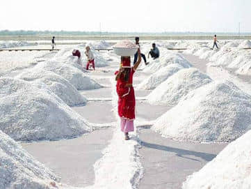 सांभर झील