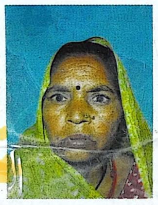 Son killed his mother by hitting her with a grinding stone for not selling the land