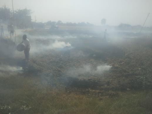 Four bighas of wheat burnt due to spark from wires