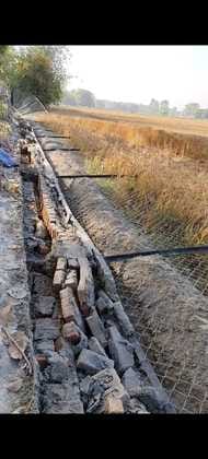 After Mala, Nepali elephants created havoc outside Barahi forest, broke the net fencing and trampled the crops