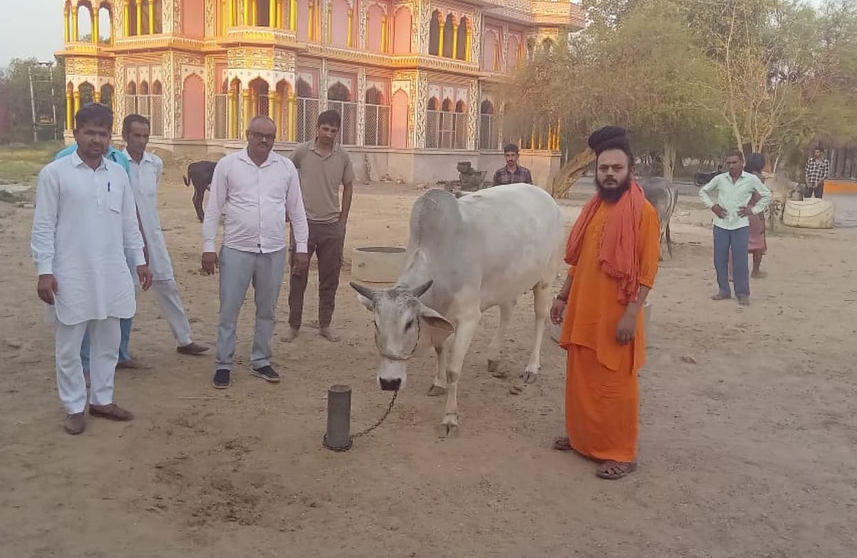Mahant Rakesh Giri's cow stood first in the milk competition