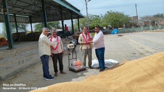 Purchase centers opened, 320 quintals of wheat purchased