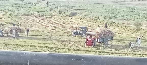 During investigation, 40 acres of land belonging to farmers of Khojkipur was found