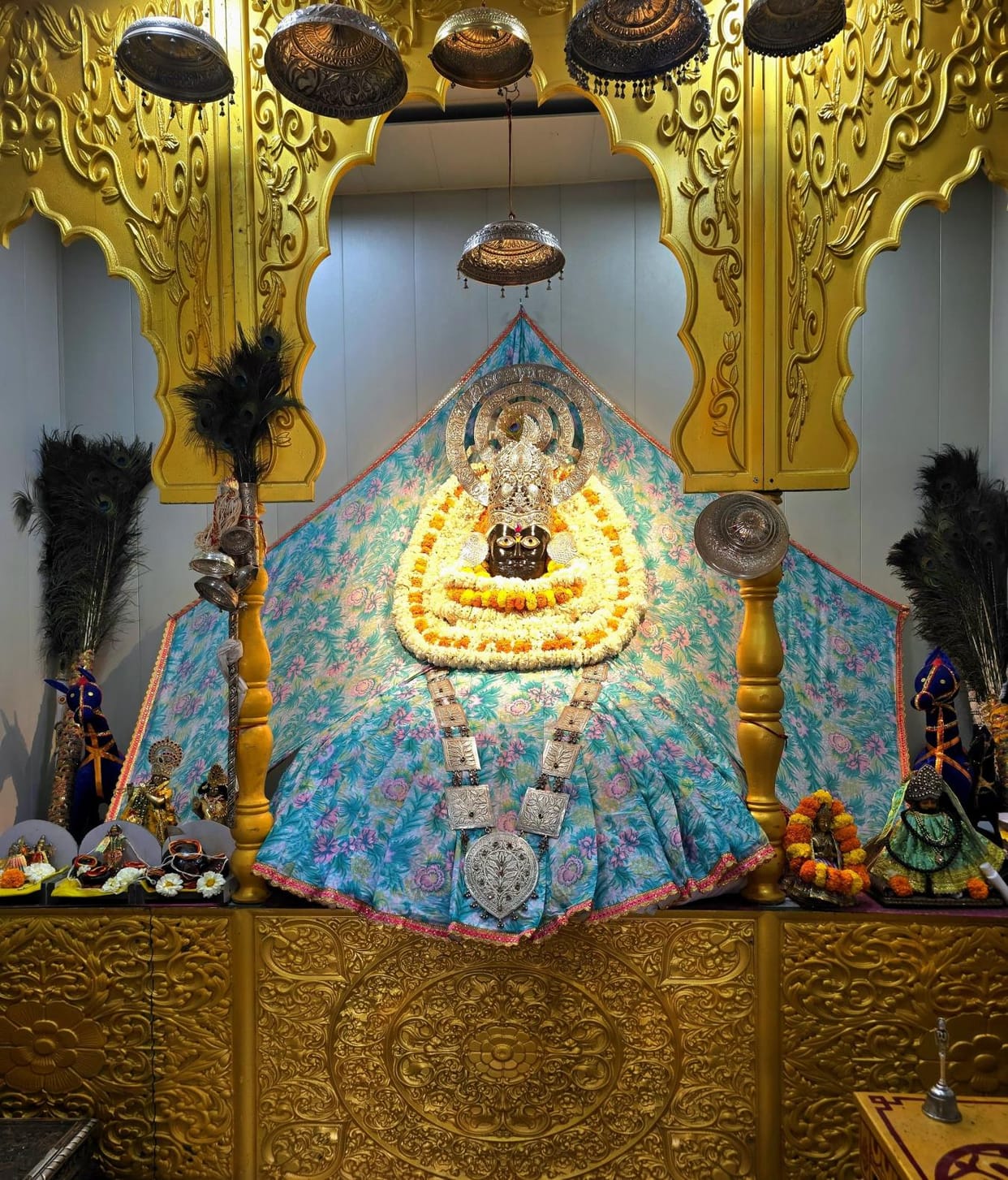 Devotees praised Shyam Baba in Beed Babaran Dham