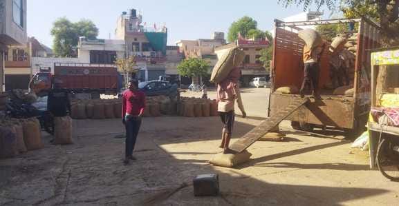 Mustard crop lifted in grain markets
