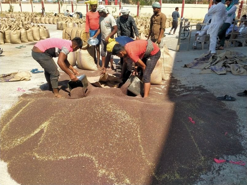 Business is increasing rapidly in the markets, in Mahendragarh, the business of 30 farmers is 540 businesses