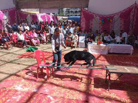 Ajay's Scooby Best in Dog Shaw