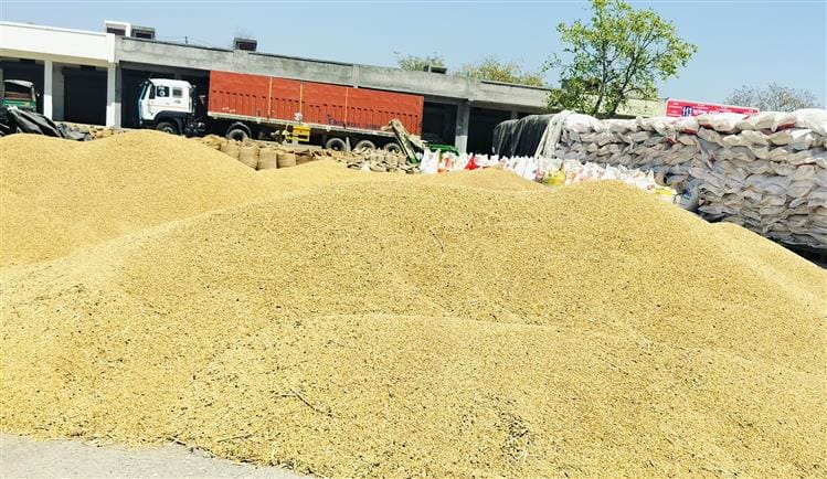 40 quintals of wheat and 150 quintals of barley arrived for sale, purchase starts today