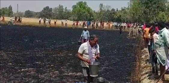 Due to the fire, 5.25 acres of wheat crop and thatched house got burnt