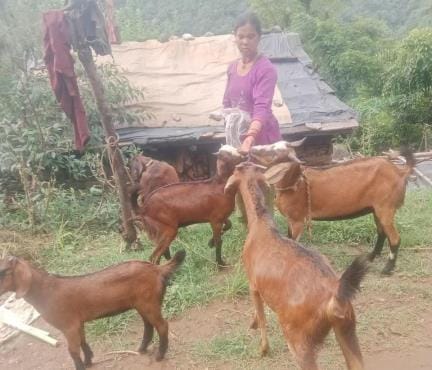 Goat rearing scheme brought light to the lives of Vanraji women