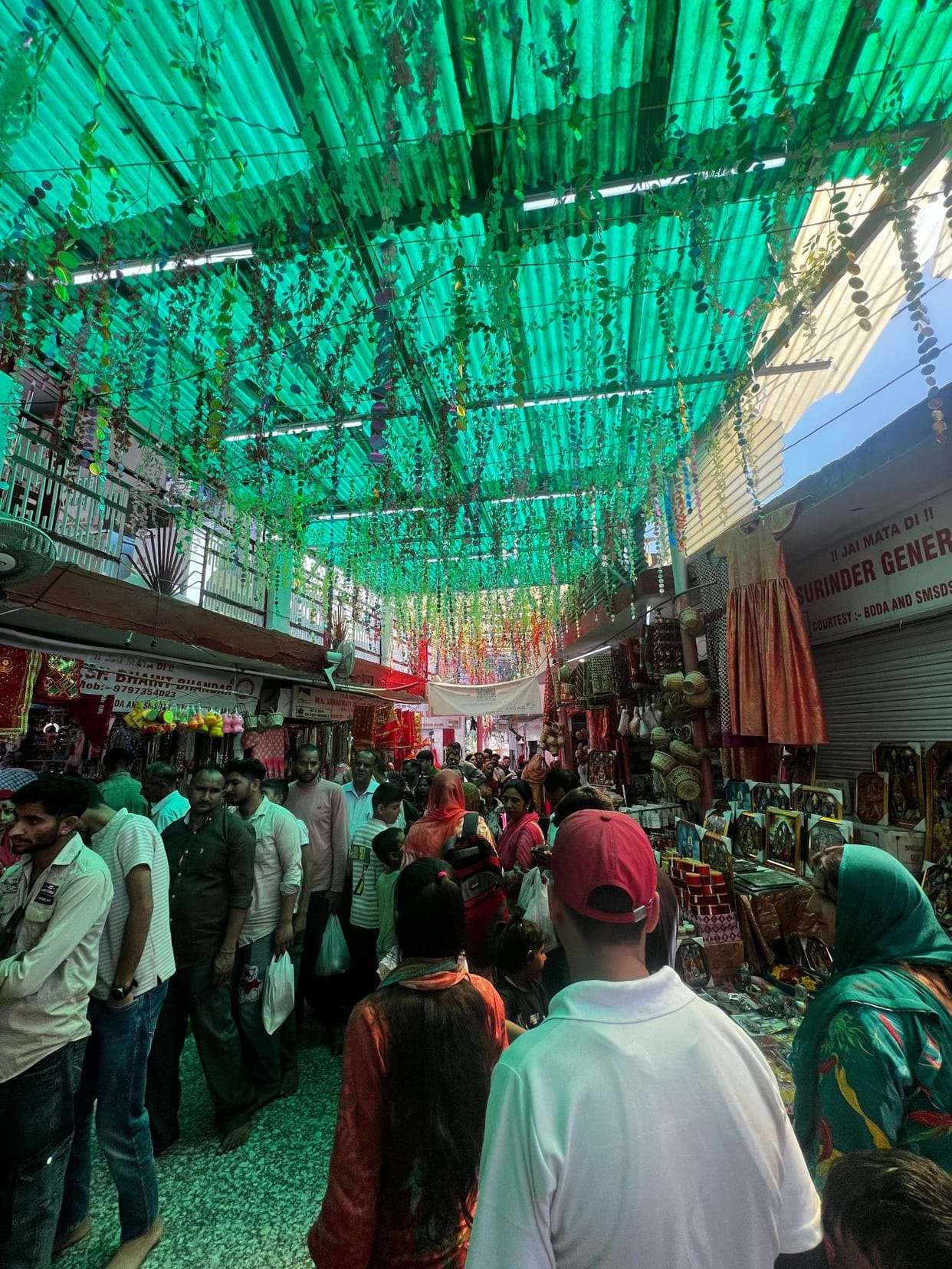 Queue of devotees at Sukrala Mata Temple
