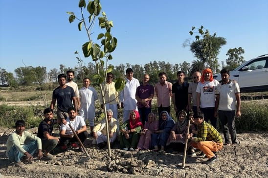 Plantation done on the beginning of Nav Samvat